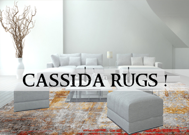 Modul Rugs1