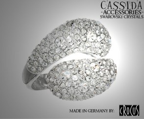 CASSIDA_Ring_Exc_4d51a0d721487