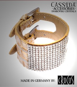 CASSIDA_Wristban_4d51a1dd14d21